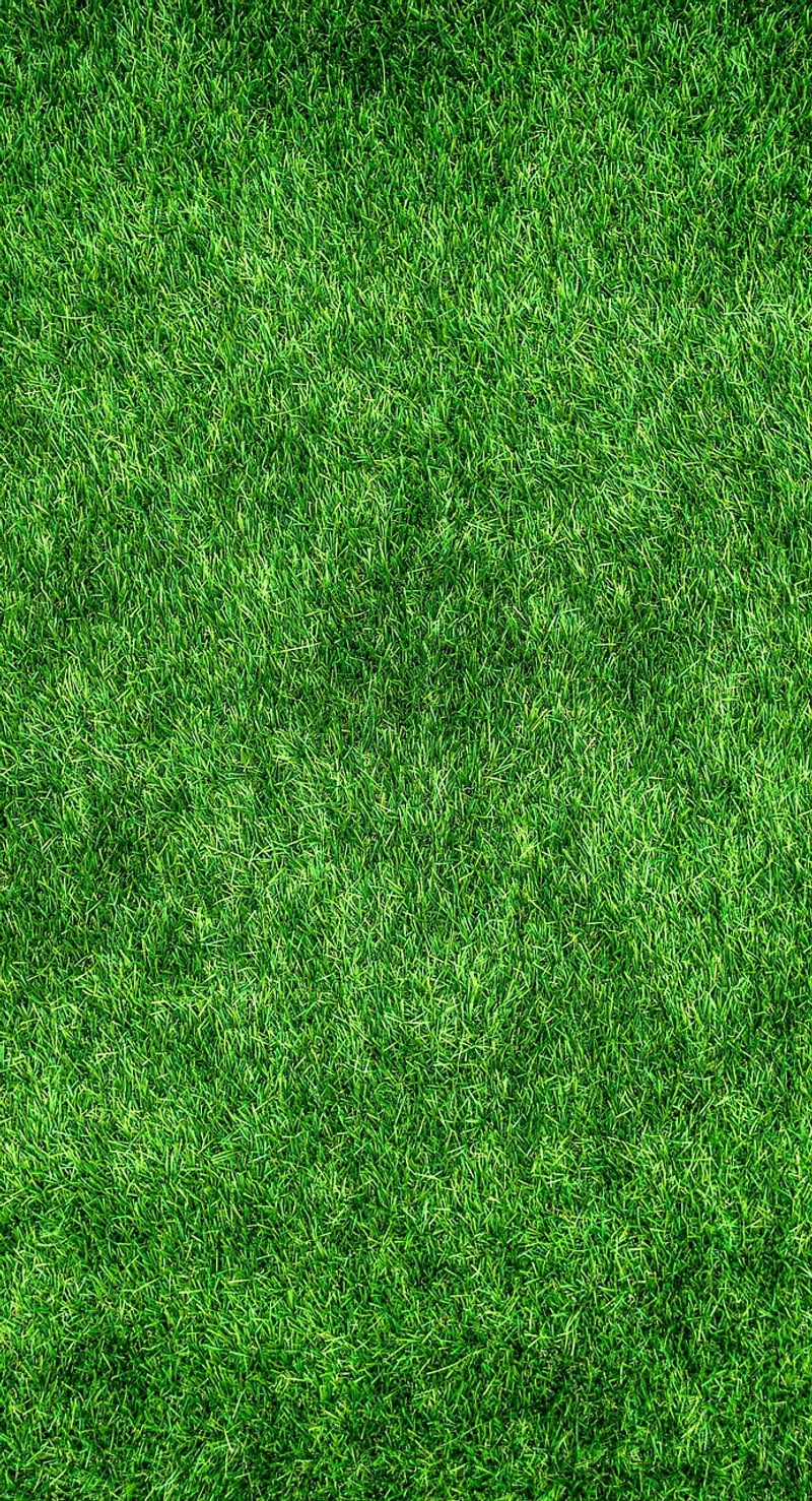 Sustainable Venue