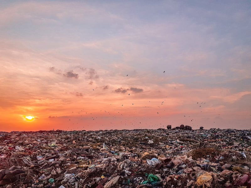 Waste Management